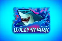 Wild Shark